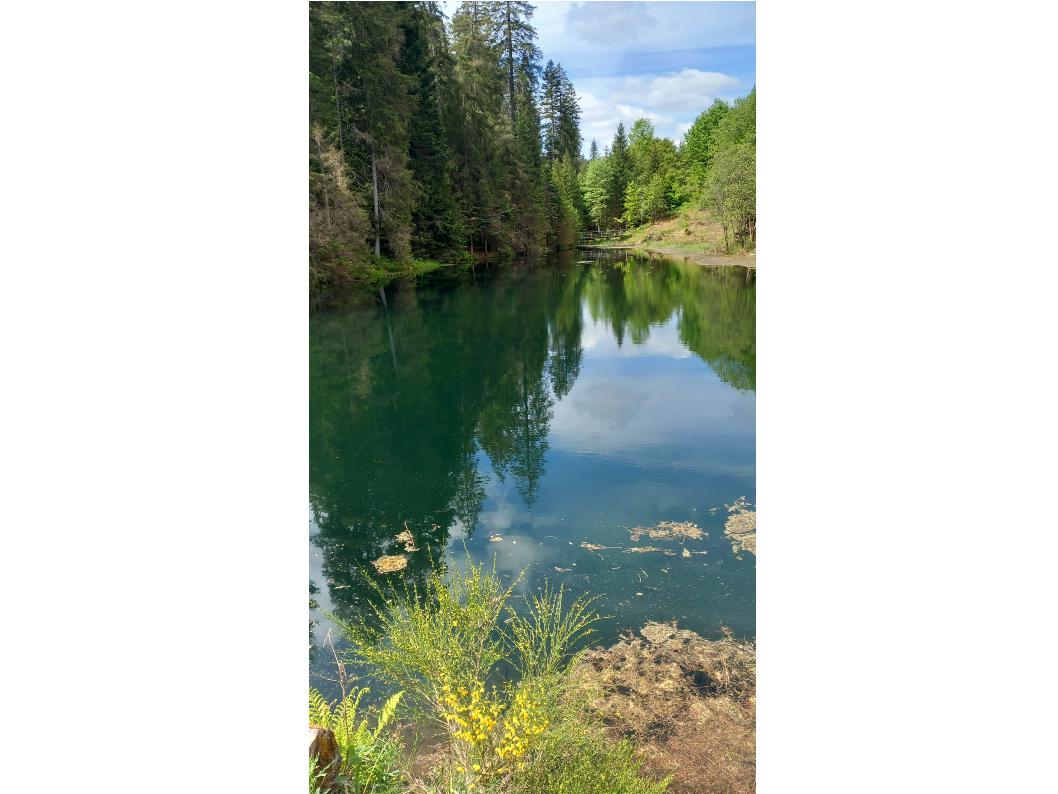 Kaltenbachsee